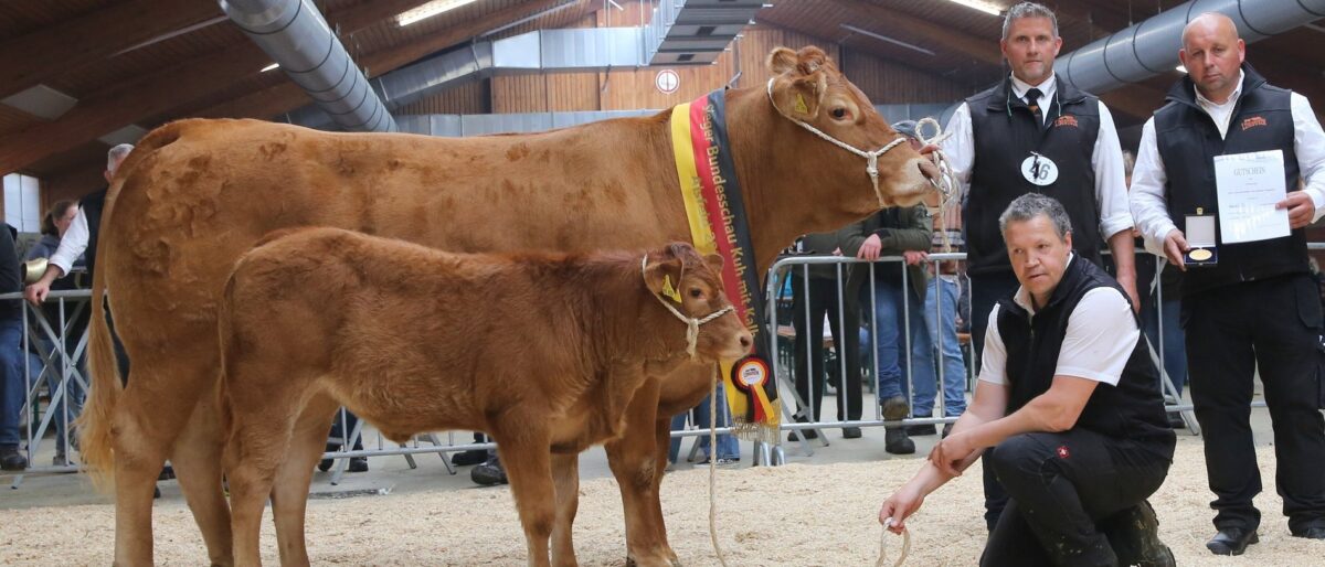 Permalink zu: Elly Pp Bundessiegerin Kuh mit Kalb Alsfeld