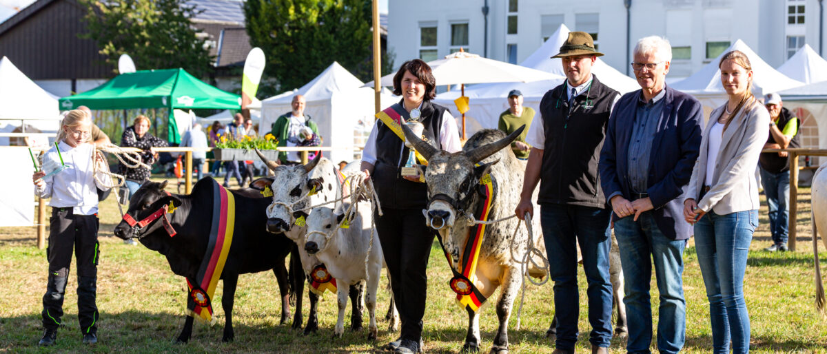 Permalink zu: Zwergzebus